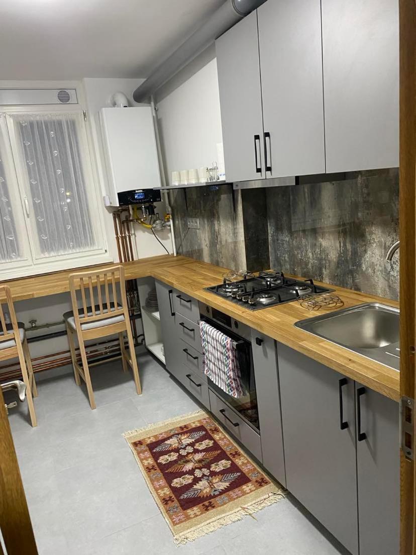 Apartament Ultracentral Botis Sighetu Marmaţiei Dış mekan fotoğraf